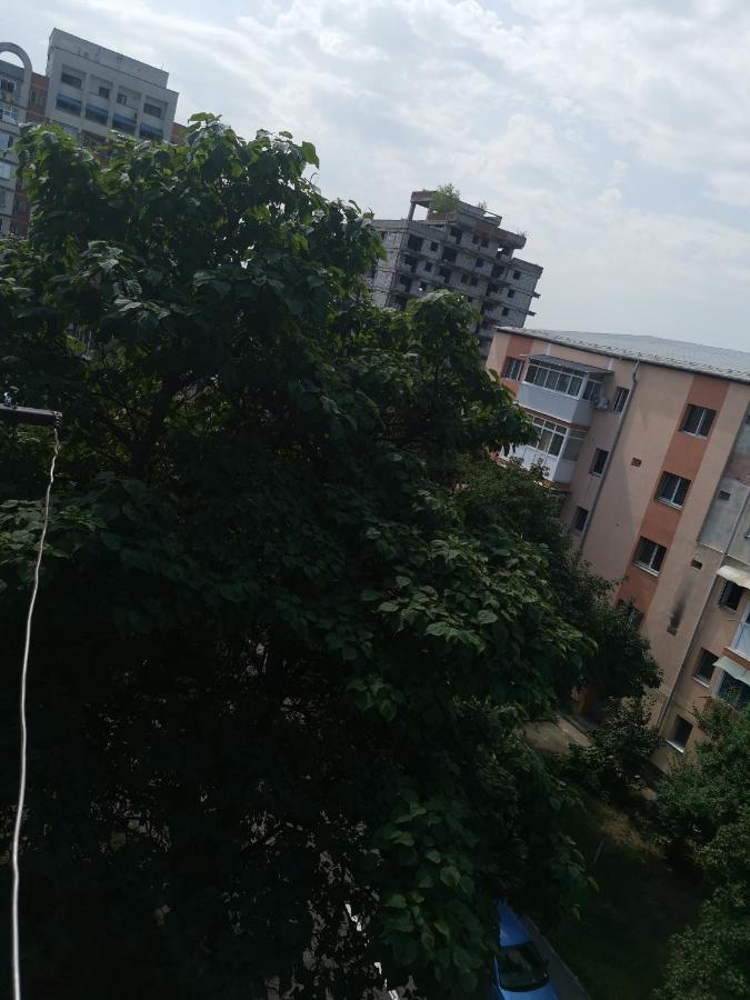 Bloom Box Apartments Κραϊόβα Εξωτερικό φωτογραφία