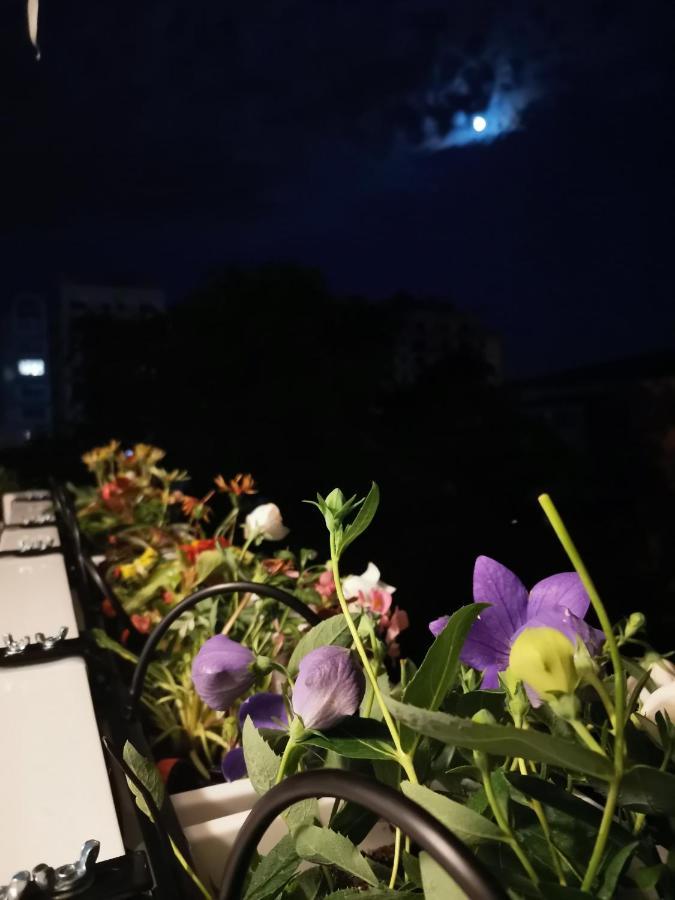 Bloom Box Apartments Κραϊόβα Εξωτερικό φωτογραφία