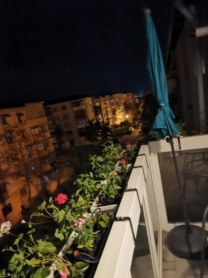 Bloom Box Apartments Κραϊόβα Εξωτερικό φωτογραφία